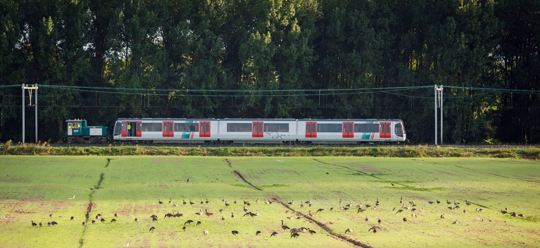 Vertraging bij ombouw Hoekse Lijn