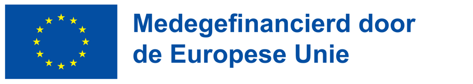 Logo Medegefinancierd Door EU Blauw Rechthoek.Png